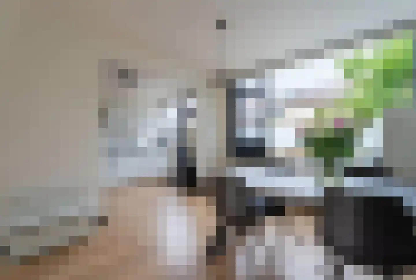 Jacob Catsstraat 6 Spijkenisse thumbnail 11