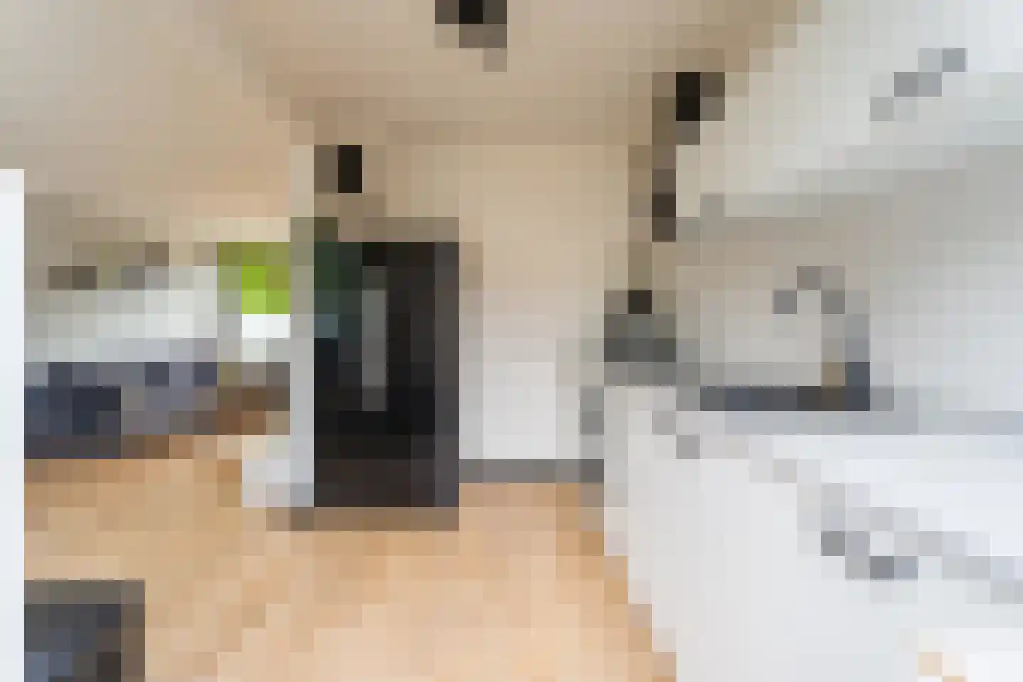 Jacob Catsstraat 6 Spijkenisse thumbnail 14