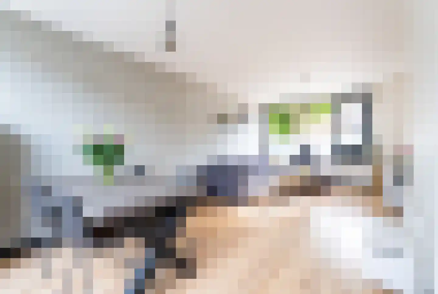 Jacob Catsstraat 6 Spijkenisse thumbnail 16