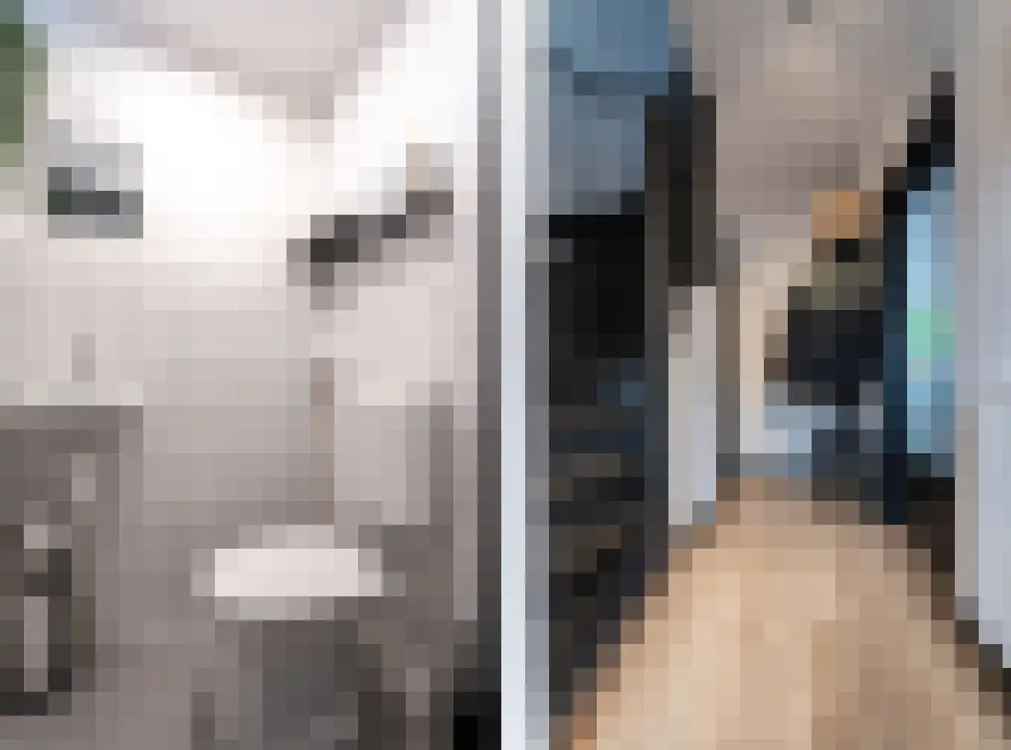 Jacob Catsstraat 6 Spijkenisse thumbnail 8