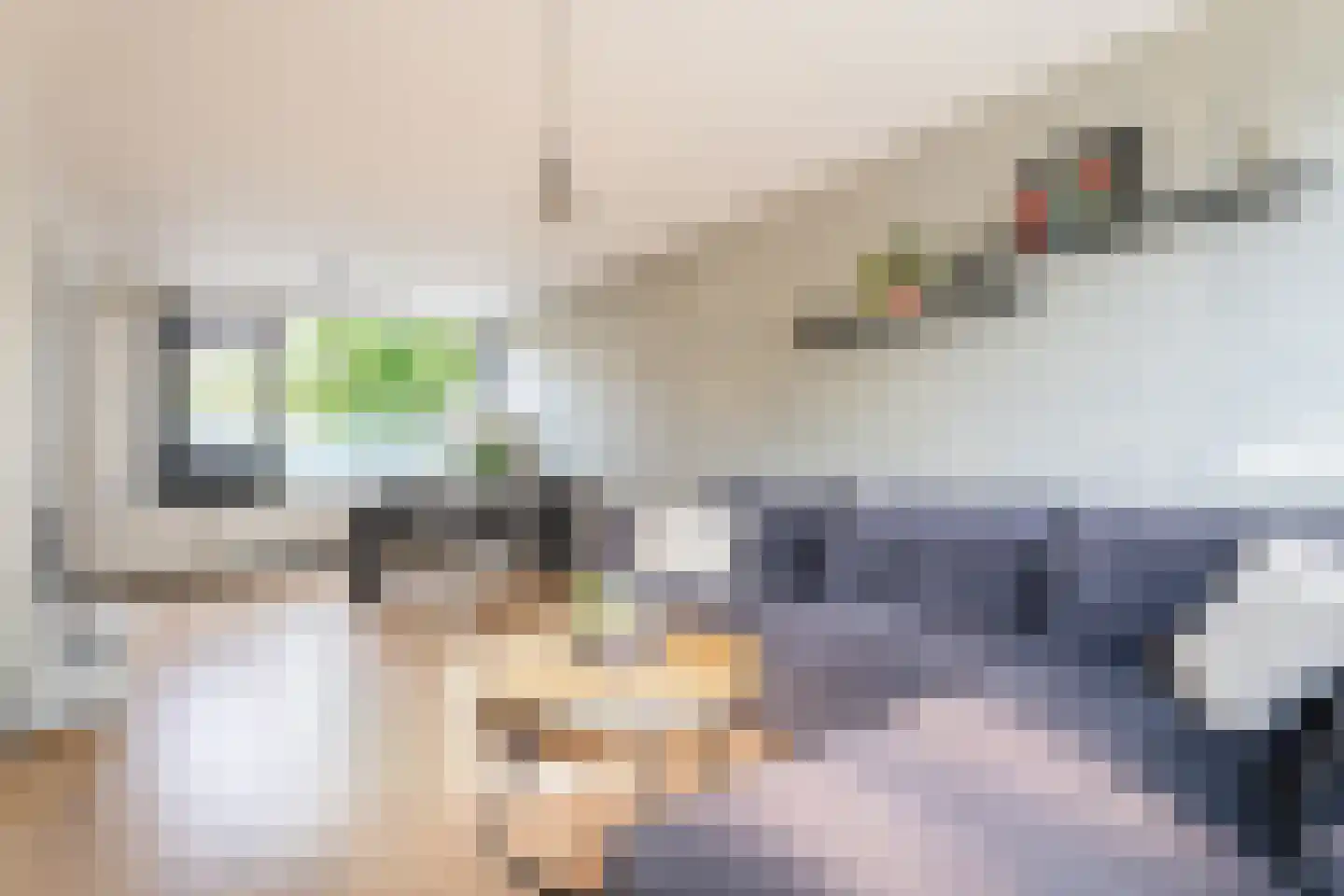 Jacob Catsstraat 6 Spijkenisse thumbnail 9