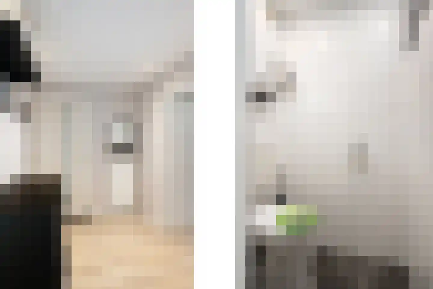 Jacob Catsstraat 60 Spijkenisse thumbnail 10
