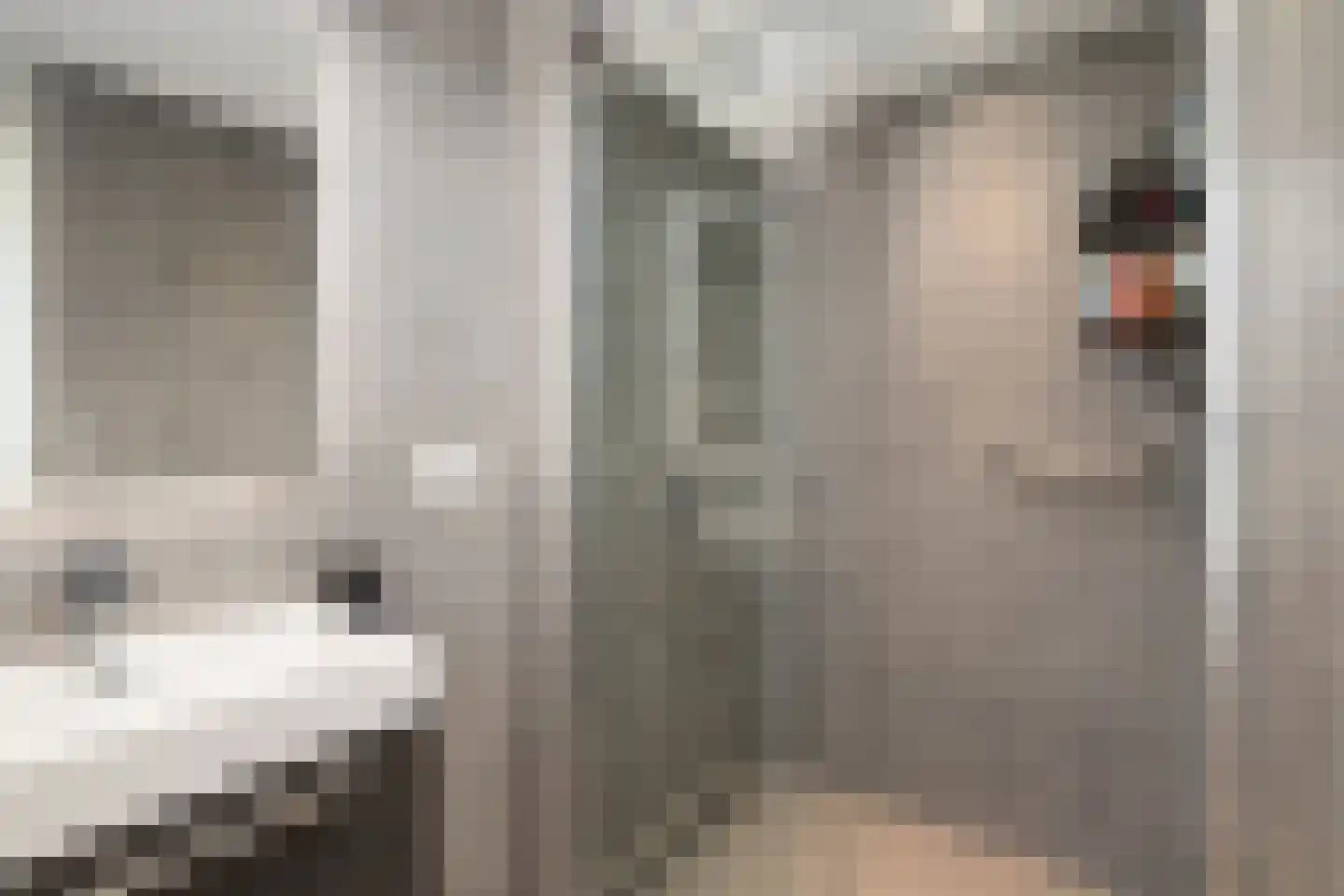 Jacob Catsstraat 60 Spijkenisse thumbnail 12