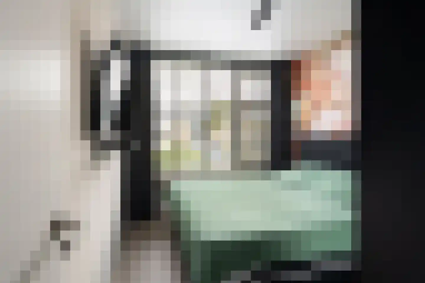 Jacob Catsstraat 60 Spijkenisse thumbnail 13