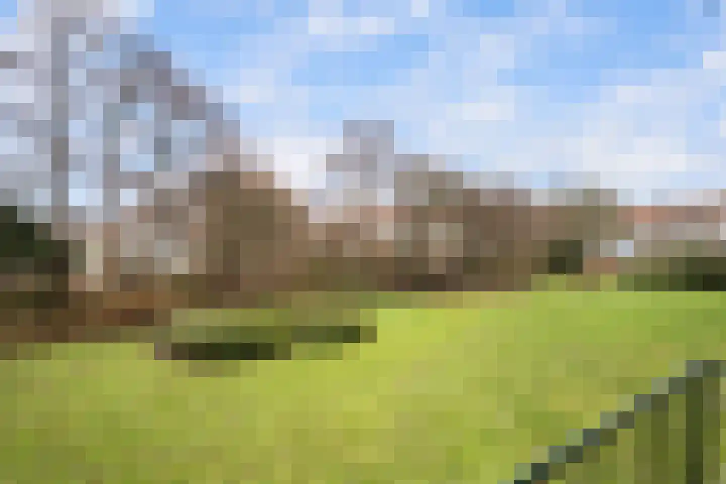 Jacob Catsstraat 60 Spijkenisse thumbnail 19