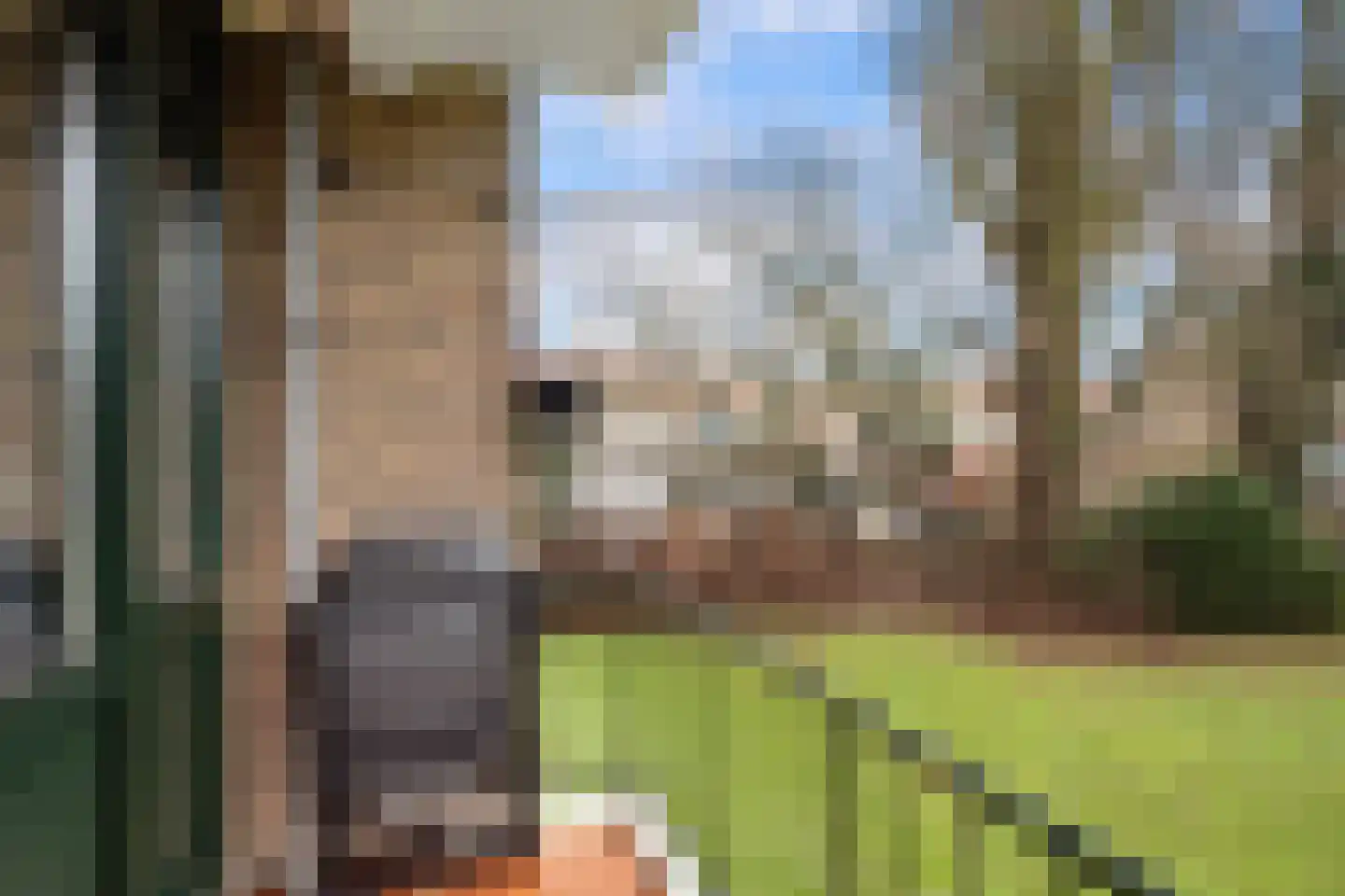 Jacob Catsstraat 60 Spijkenisse thumbnail 20