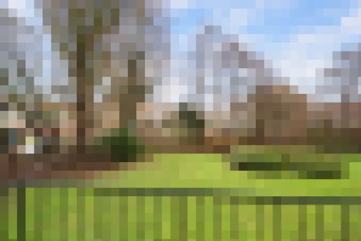 Jacob Catsstraat 60 Spijkenisse thumbnail 21