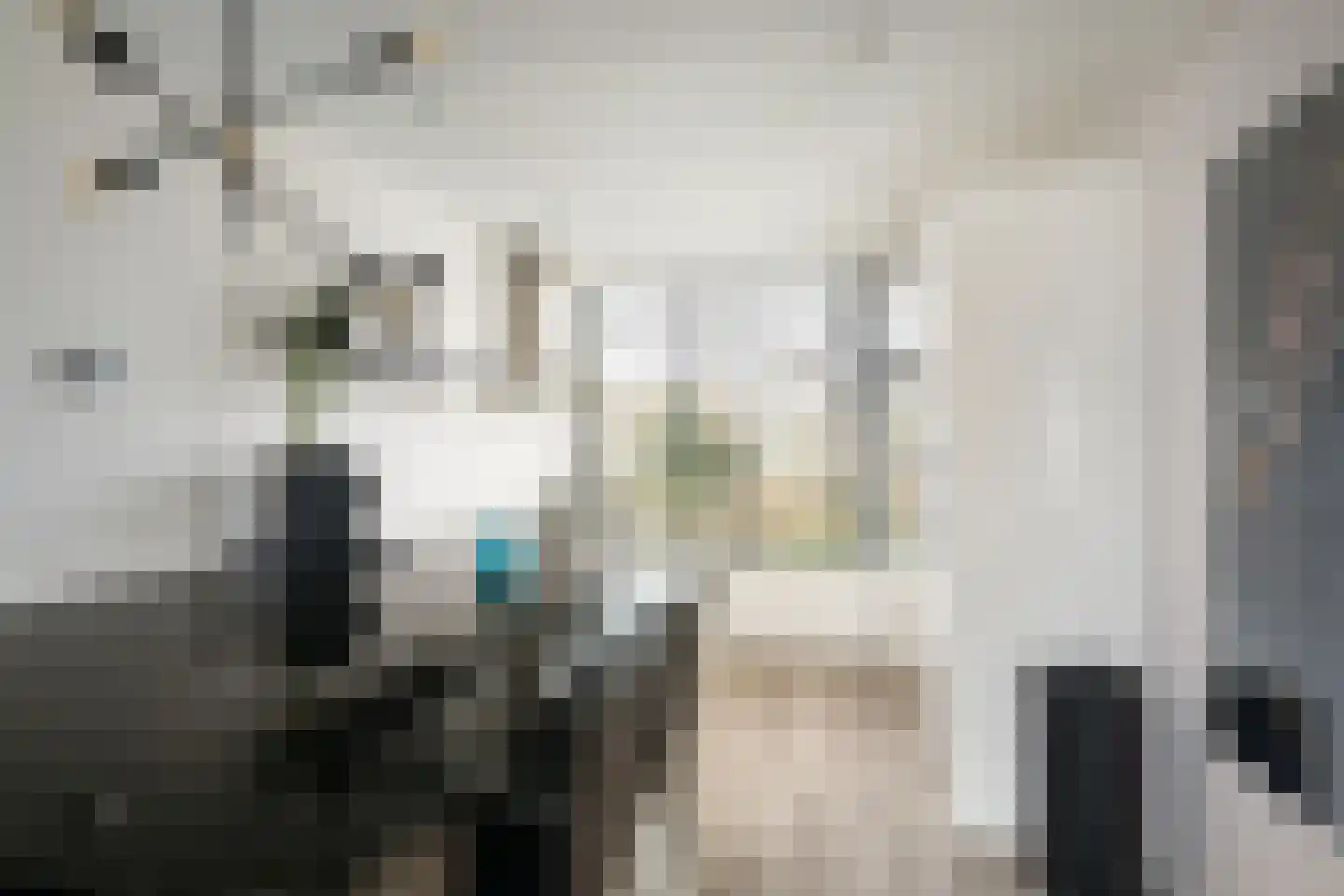Jacob Catsstraat 60 Spijkenisse thumbnail 7