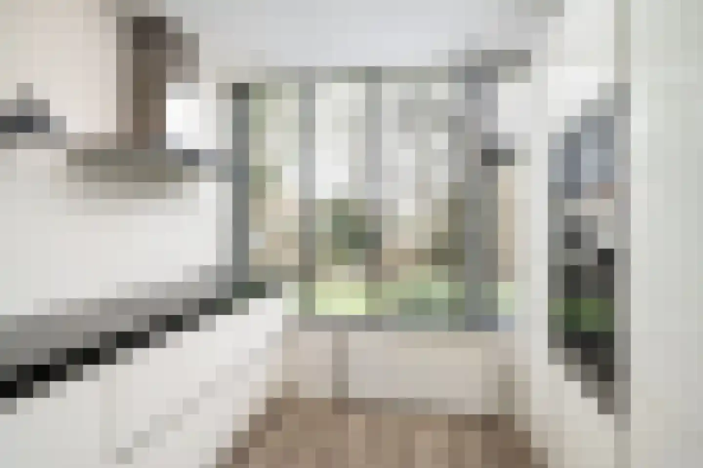 Jacob Catsstraat 60 Spijkenisse thumbnail 9