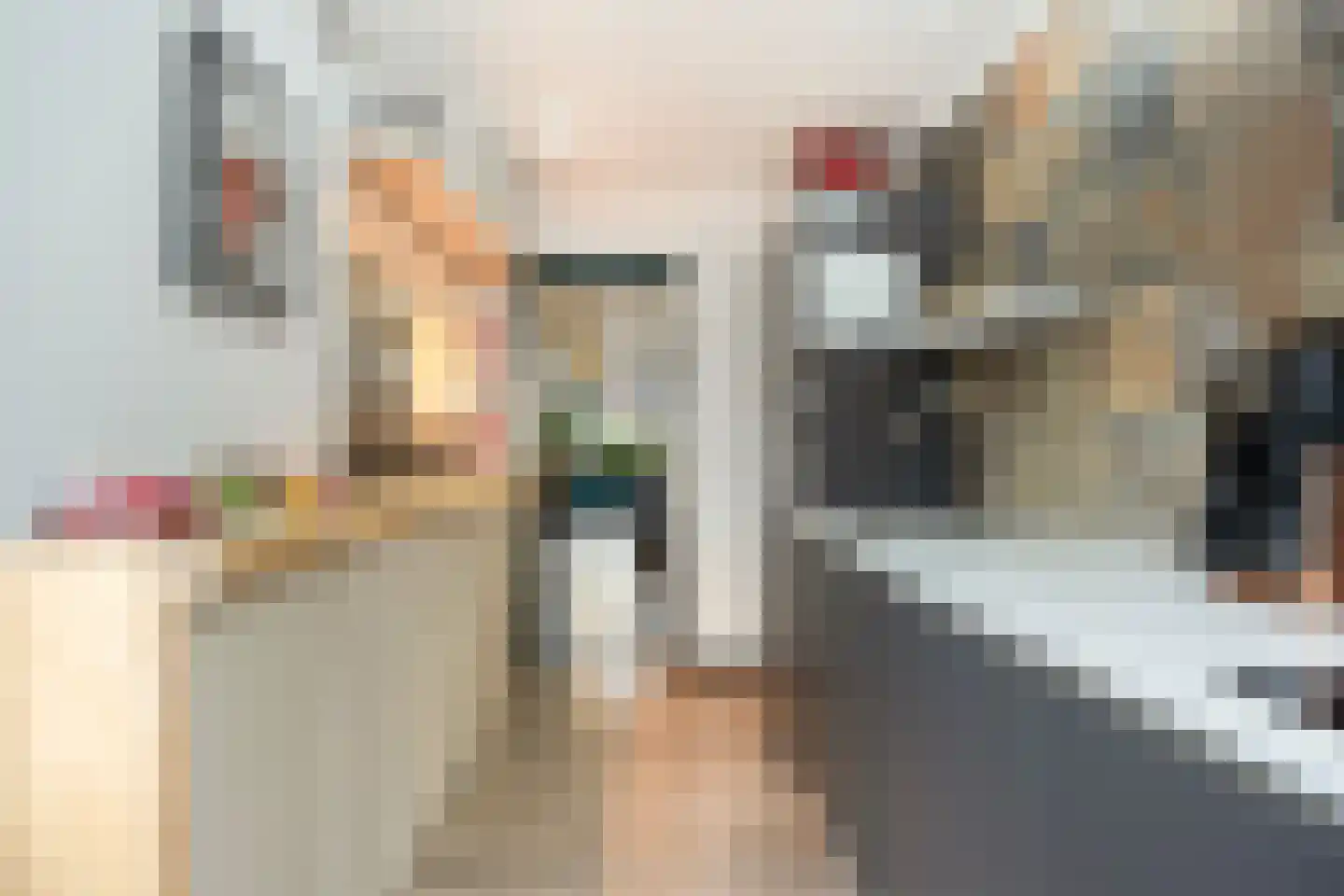 Jacob Catsstraat 61 Dordrecht thumbnail 12