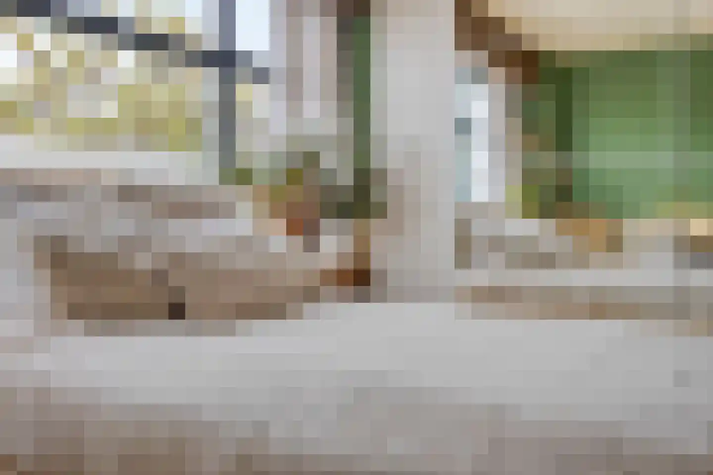Jacob Catsstraat 61 Dordrecht thumbnail 17
