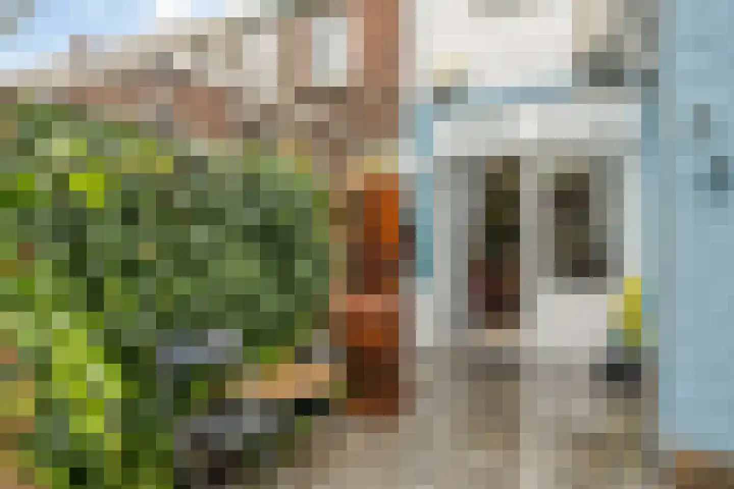 Jacob Catsstraat 61 Dordrecht thumbnail 29