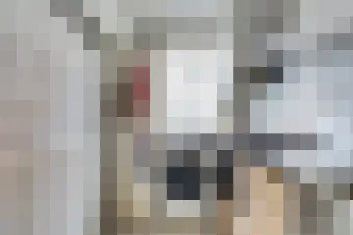 Jacob Catsstraat 64 Delft thumbnail 10
