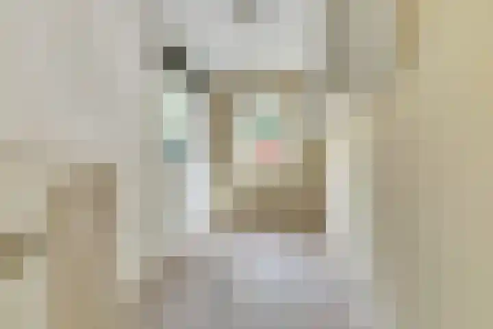 Jacob Catsstraat 64 Delft thumbnail 18