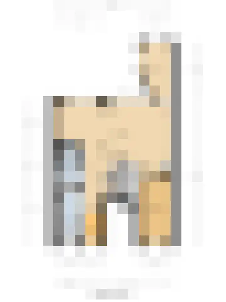 Jacob Catsstraat 64 Delft thumbnail 30