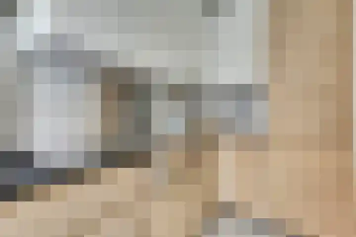 Jacob Catsstraat 64 Delft thumbnail 4