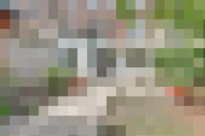 Jacob Catsstraat 64 Delft thumbnail 5