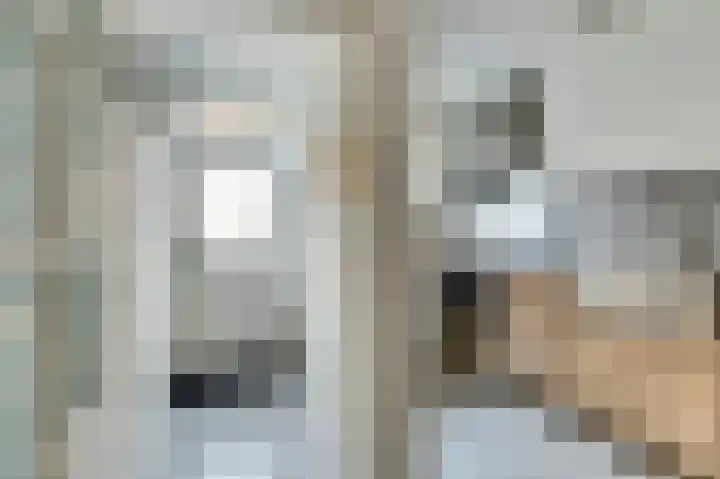 Jacob Catsstraat 64 Delft thumbnail 7