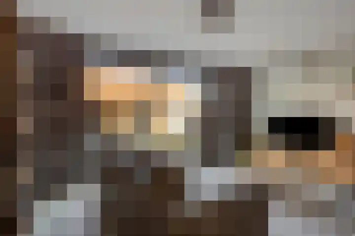 Jacob Catsstraat 67 Sommelsdijk thumbnail 10