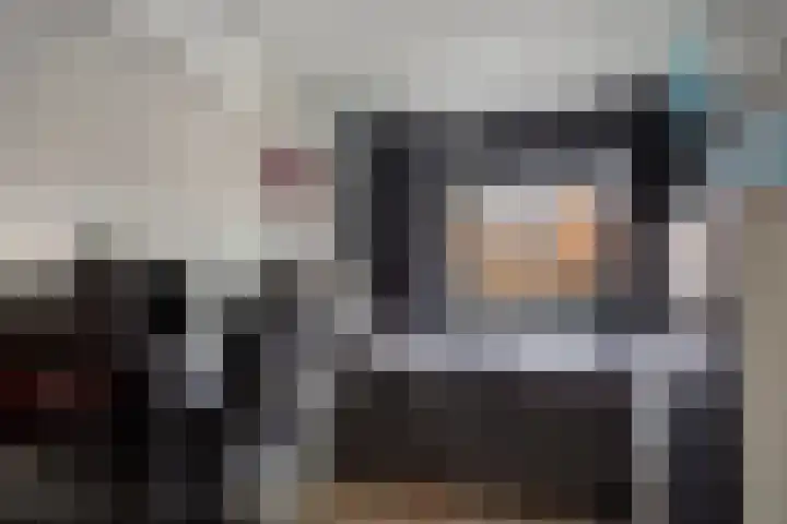 Jacob Catsstraat 67 Sommelsdijk thumbnail 19