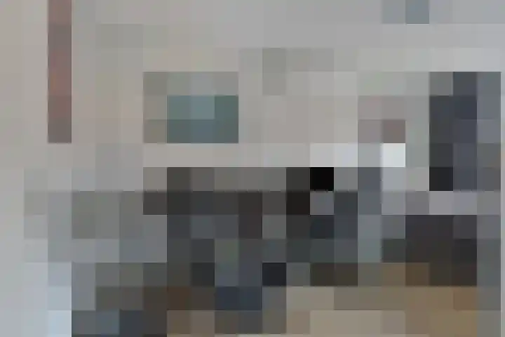 Jacob Catsstraat 67 Sommelsdijk thumbnail 20