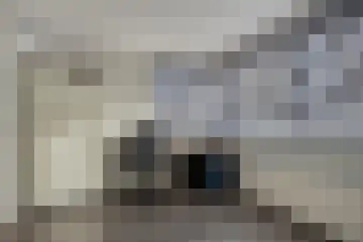Jacob Catsstraat 67 Sommelsdijk thumbnail 25