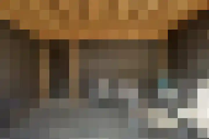 Jacob Catsstraat 67 Sommelsdijk thumbnail 28