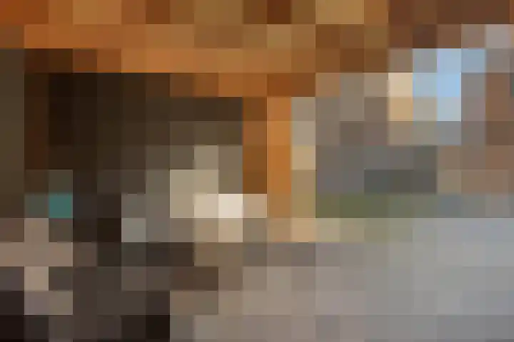 Jacob Catsstraat 67 Sommelsdijk thumbnail 29