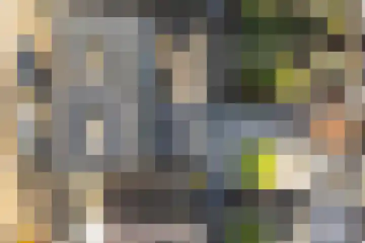 Jacob Catsstraat 67 Sommelsdijk thumbnail 32
