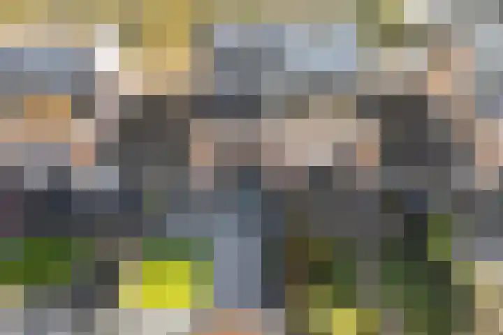 Jacob Catsstraat 67 Sommelsdijk thumbnail 33