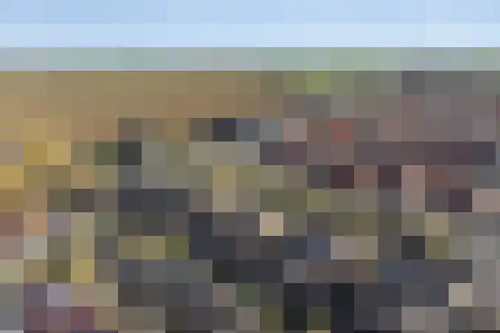 Jacob Catsstraat 67 Sommelsdijk thumbnail 35