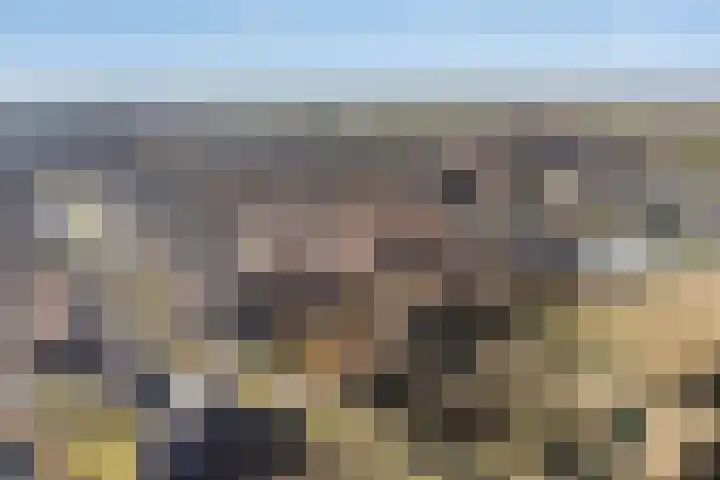 Jacob Catsstraat 67 Sommelsdijk thumbnail 36