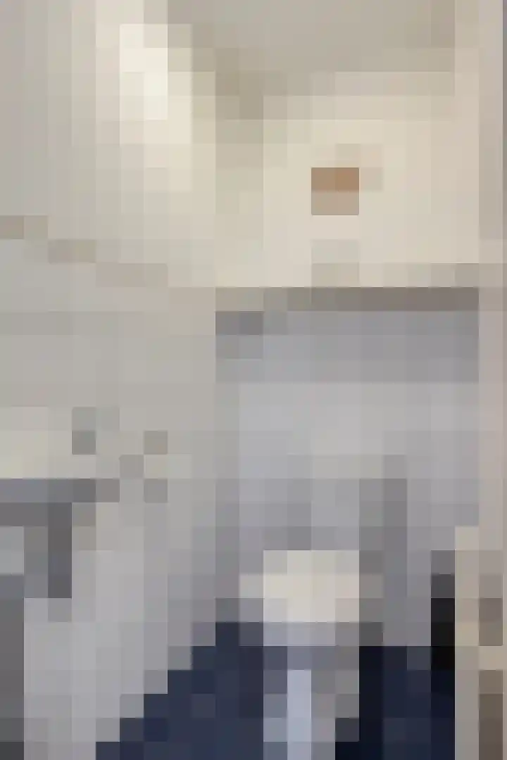 Jacob Catsstraat 67 Sommelsdijk thumbnail 8
