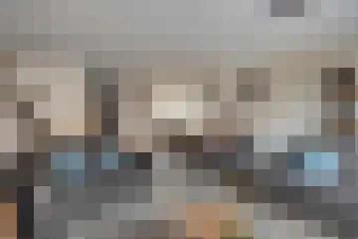 Jacob Catsstraat 67 Sommelsdijk thumbnail 9