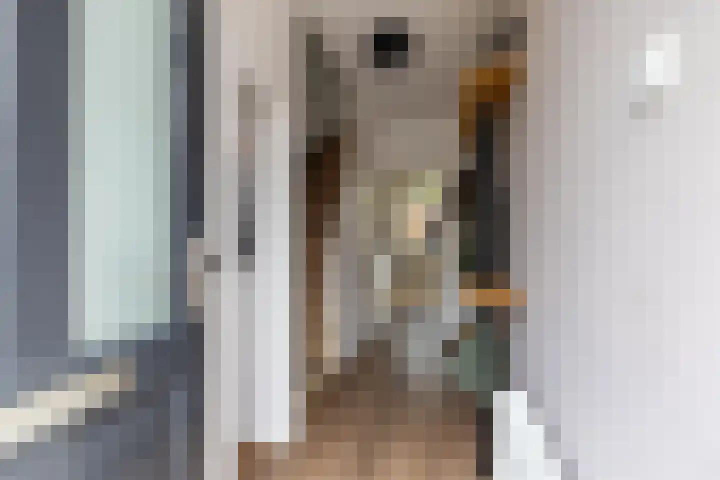Jacob Catsstraat 7 Lichtenvoorde thumbnail 10