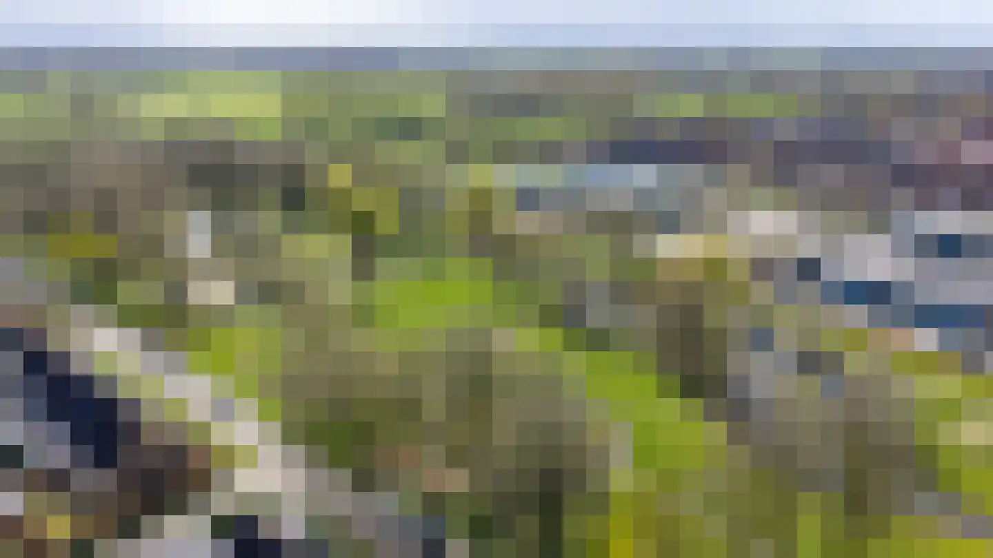 Jacob Catsstraat 7 Lichtenvoorde thumbnail 31