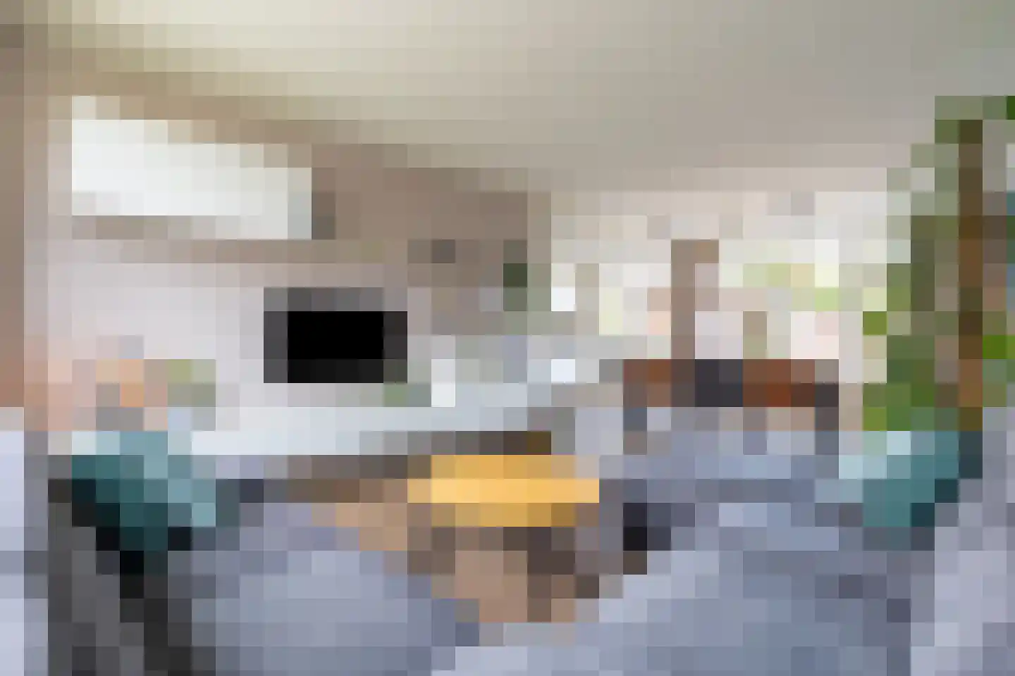 Jacob Catsstraat 7 Lichtenvoorde thumbnail 4