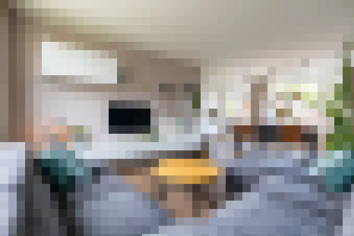 Jacob Catsstraat 7 Lichtenvoorde thumbnail 49