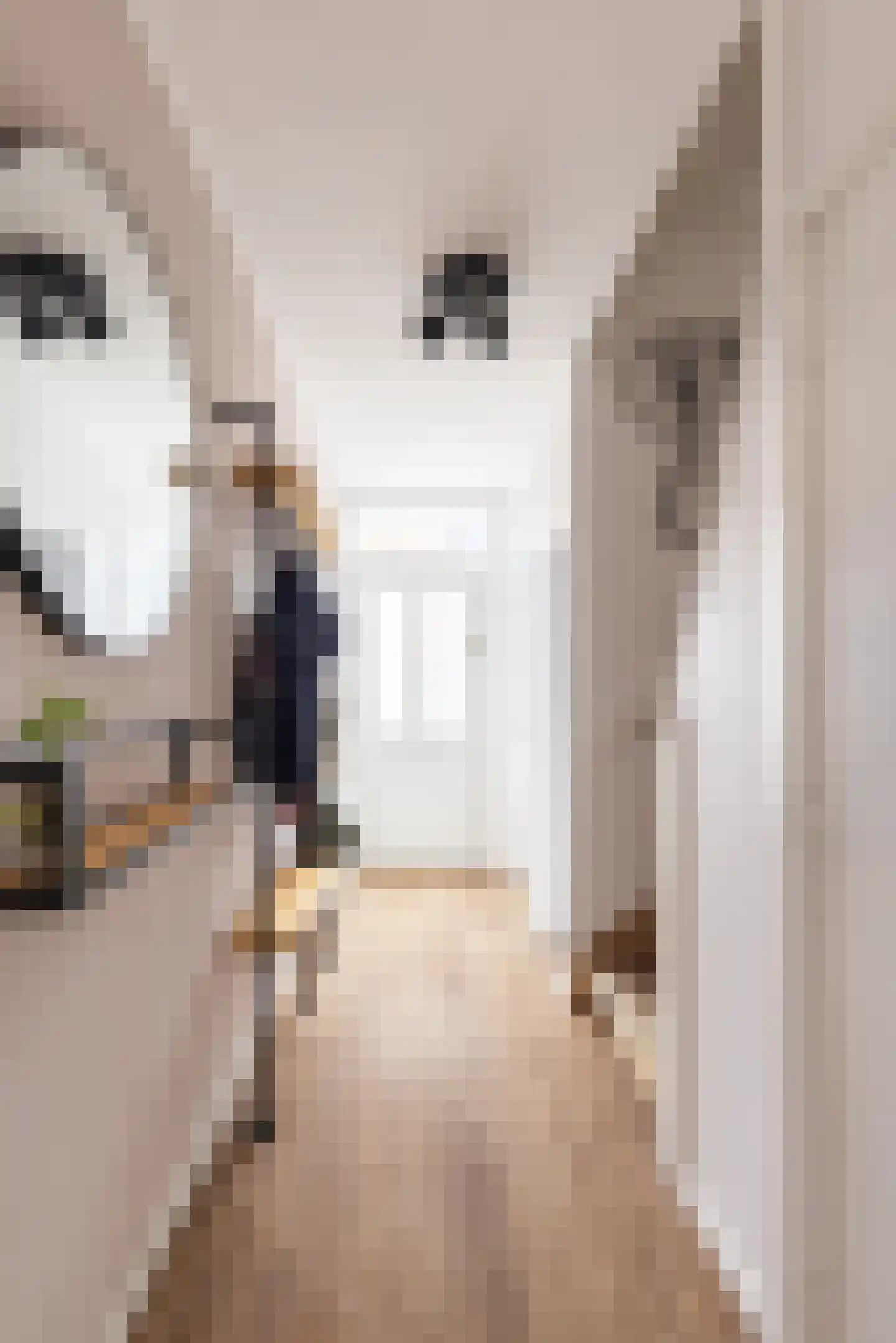 Jacob Catsstraat 7 Lichtenvoorde thumbnail 7