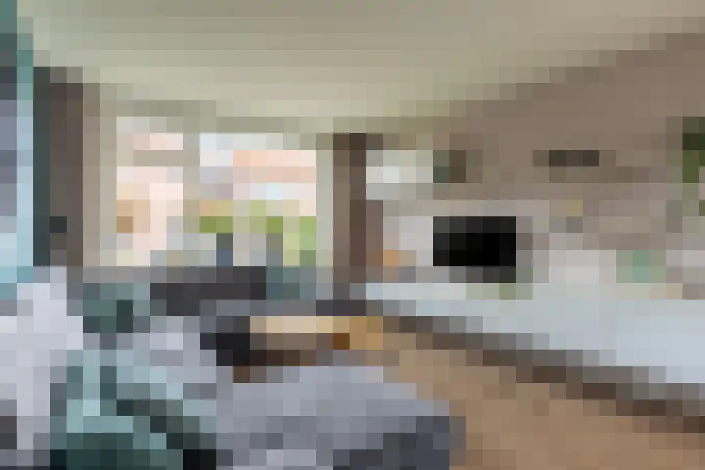 Jacob Catsstraat 7 Lichtenvoorde thumbnail 8