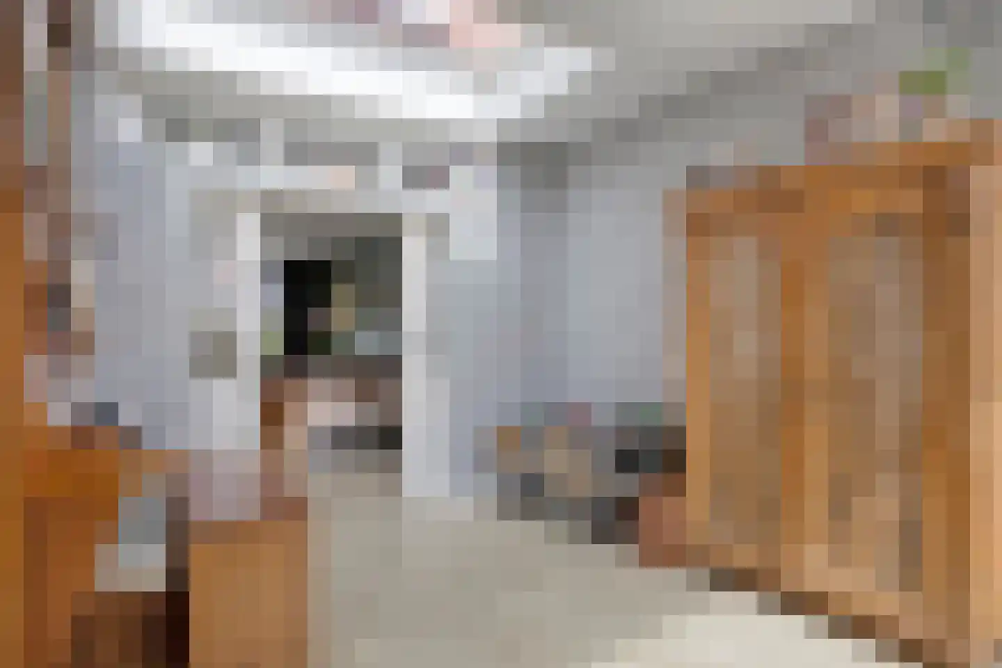 Jacob Catsstraat 7 Sliedrecht thumbnail 10