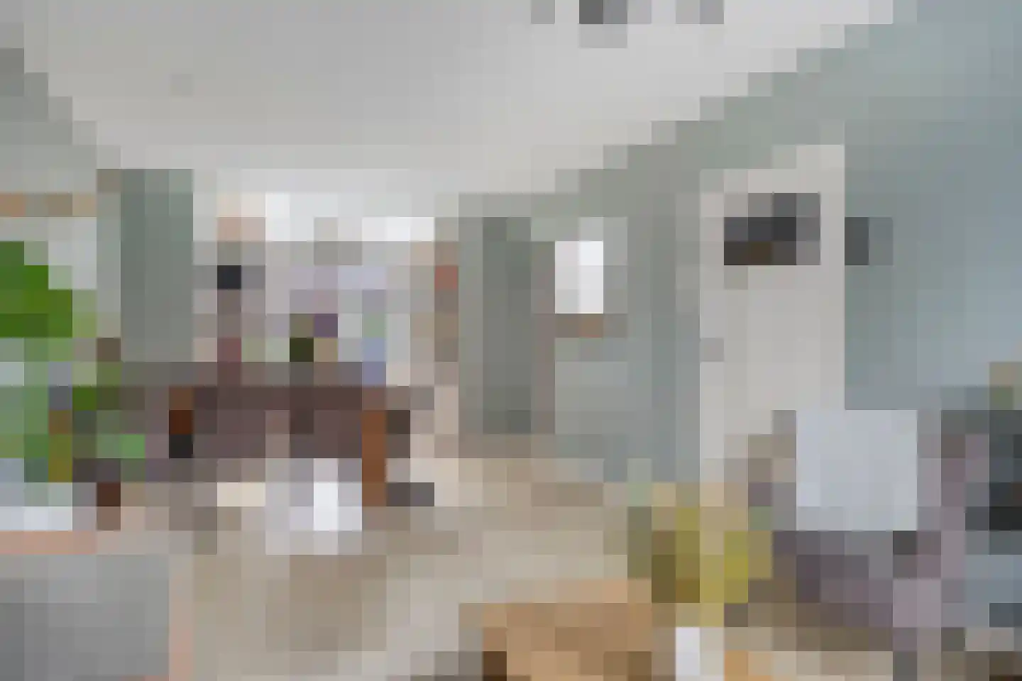 Jacob Catsstraat 7 Sliedrecht thumbnail 5