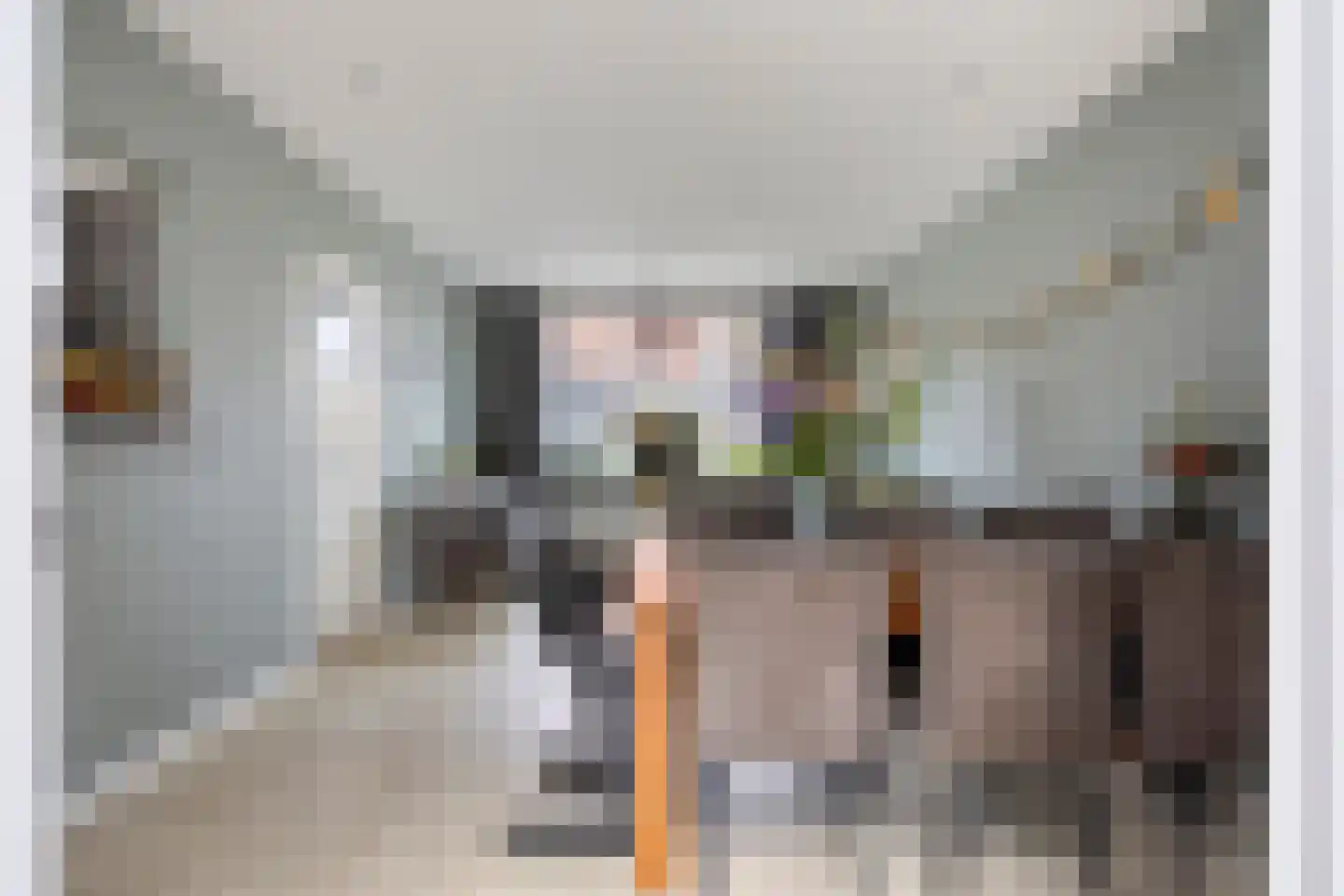 Jacob Catsstraat 7 Sliedrecht thumbnail 7