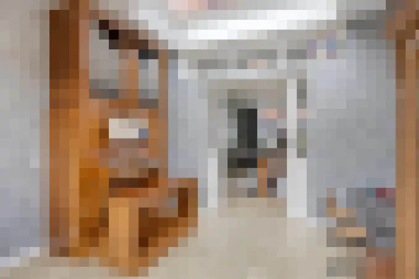 Jacob Catsstraat 7 Sliedrecht thumbnail 9