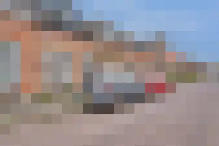 Jacob Catsstraat 70 Dordrecht thumbnail 35