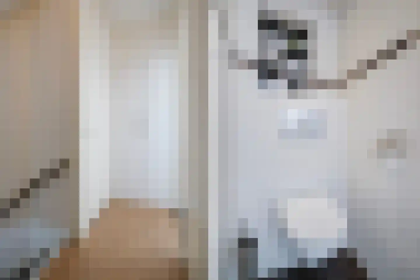Jacob Catsstraat 70 Voorburg thumbnail 10
