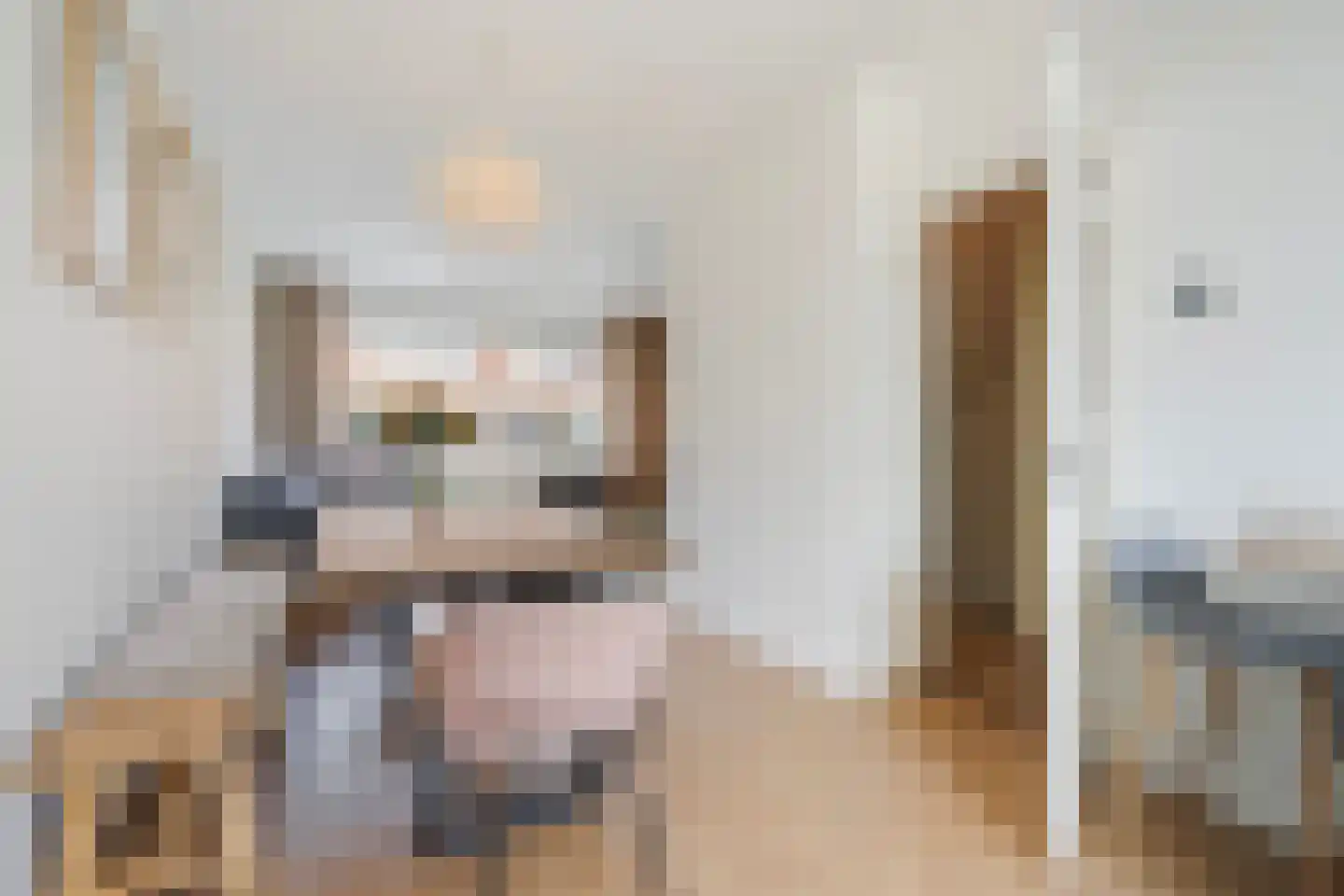 Jacob Catsstraat 70 Voorburg thumbnail 20