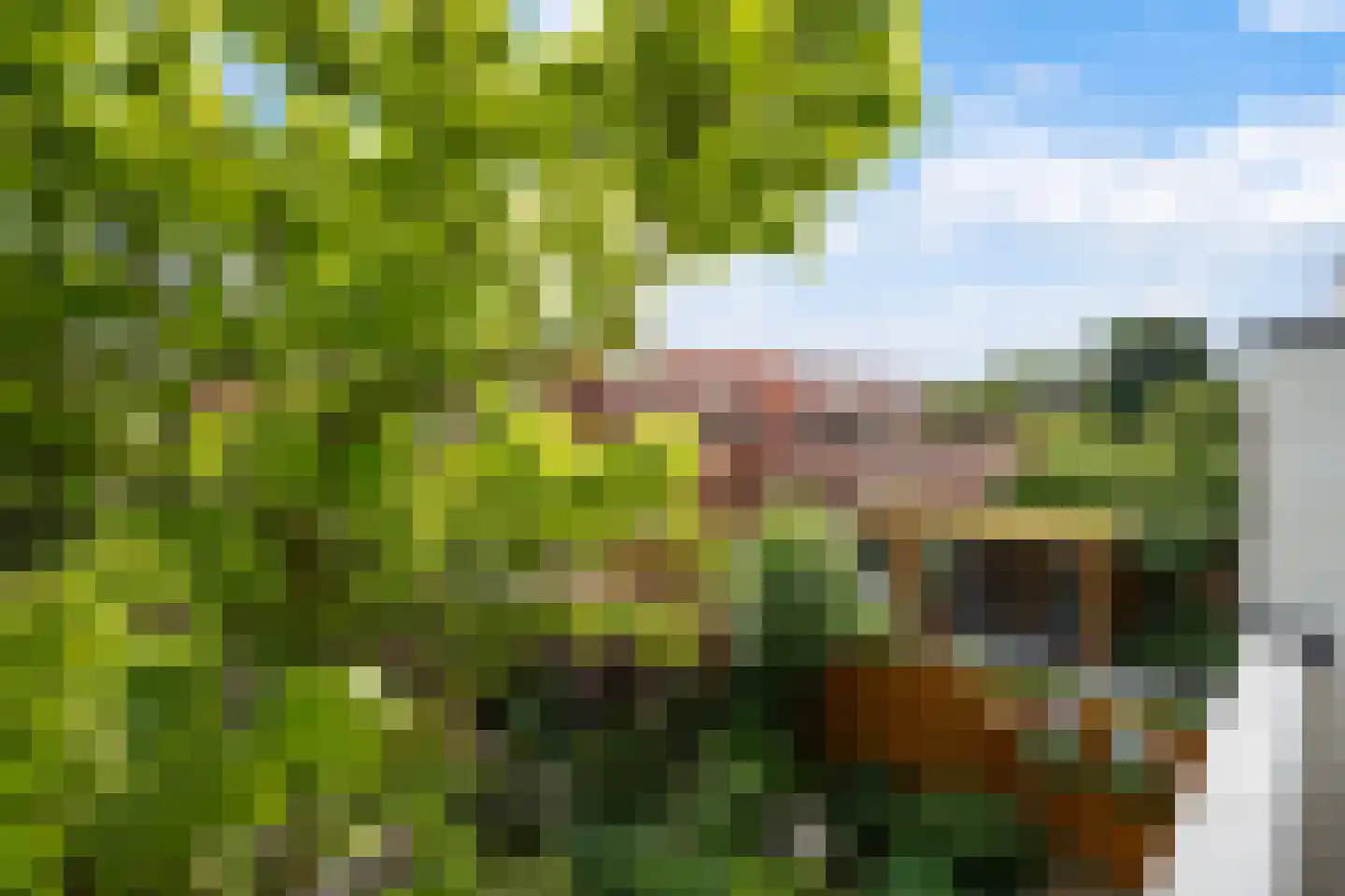 Jacob Catsstraat 70 Voorburg thumbnail 26