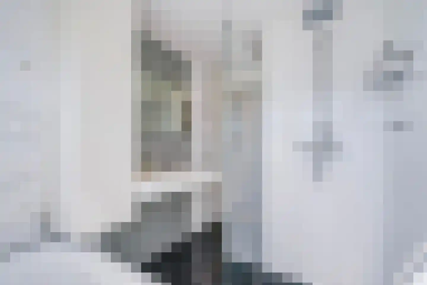 Jacob Catsstraat 70 Voorburg thumbnail 34
