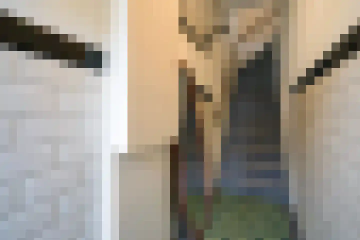 Jacob Catsstraat 70 Voorburg thumbnail 9